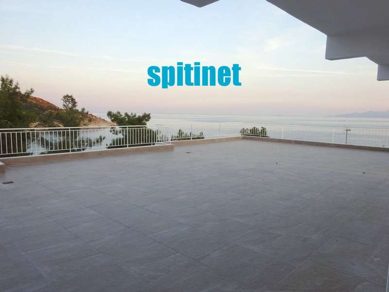 SPITINET: Φωτογραφίες & Βίντεο
