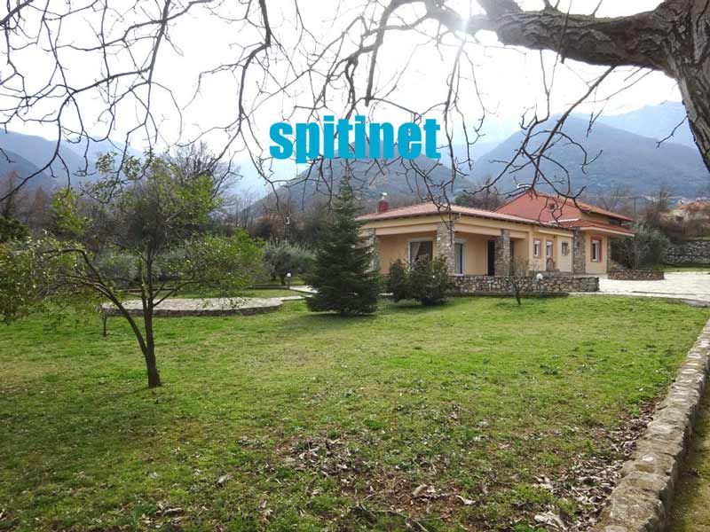 SPITINET: Φωτογραφίες & Βίντεο