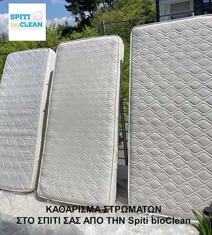 SPITI BIOCLEAN: Φωτογραφίες & Βίντεο