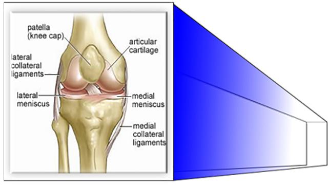 SPORTS MEDICINE CENTER - MANOLOGLOU KONSTANTINOS Dr: Φωτογραφίες & Βίντεο