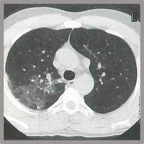 SPYROPOULOS V. KONSTANTINOS: Φωτογραφίες & Βίντεο