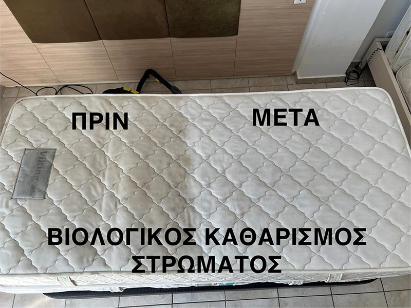 STAR CLEAN: Φωτογραφίες & Βίντεο