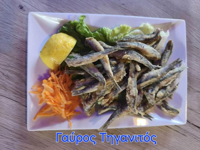 STATHMOS: Φωτογραφίες & Βίντεο