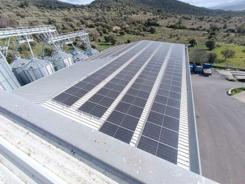 ΣΤΡΑΒΟΥΛΕΛΛΗΣ ΔΗΜΗΤΡΙΟΣ: Φωτογραφίες & Βίντεο