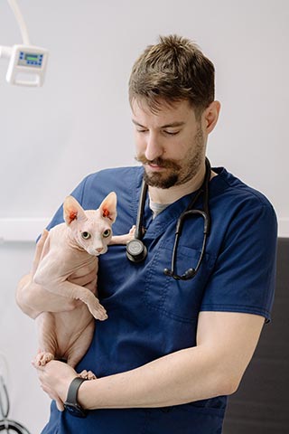 SURGICARE VET CENTER - KYRIAKIDIS I.: Φωτογραφίες & Βίντεο