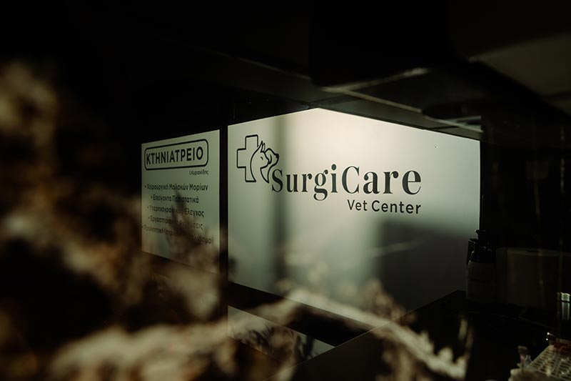 SURGICARE VET CENTER - KYRIAKIDIS I.: Φωτογραφίες & Βίντεο