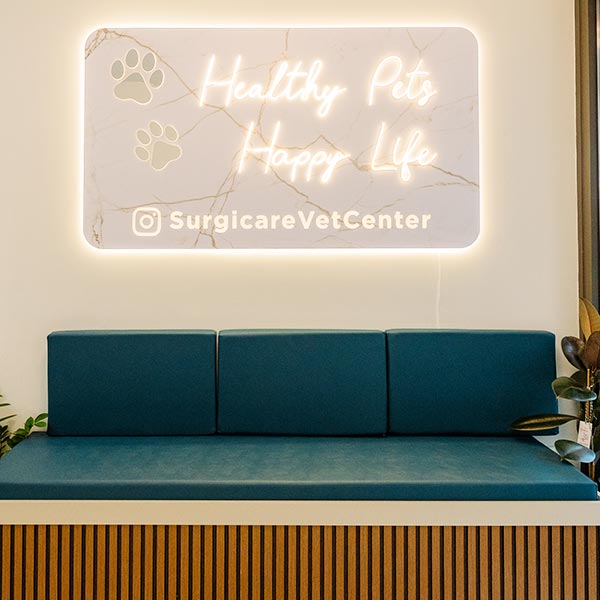 SURGICARE VET CENTER - KYRIAKIDIS I.: Φωτογραφίες & Βίντεο