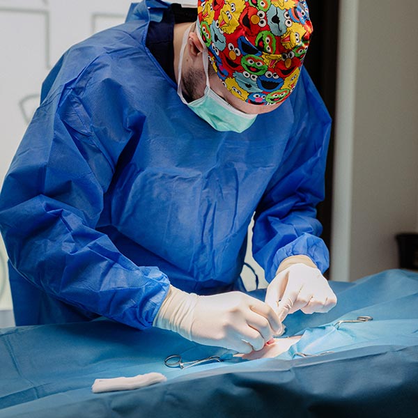 SURGICARE VET CENTER - KYRIAKIDIS I.: Φωτογραφίες & Βίντεο