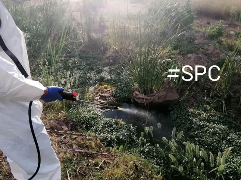 SUSTAINABLE PEST CONTROL - ARGYRI M. AGGELIKI: Φωτογραφίες & Βίντεο