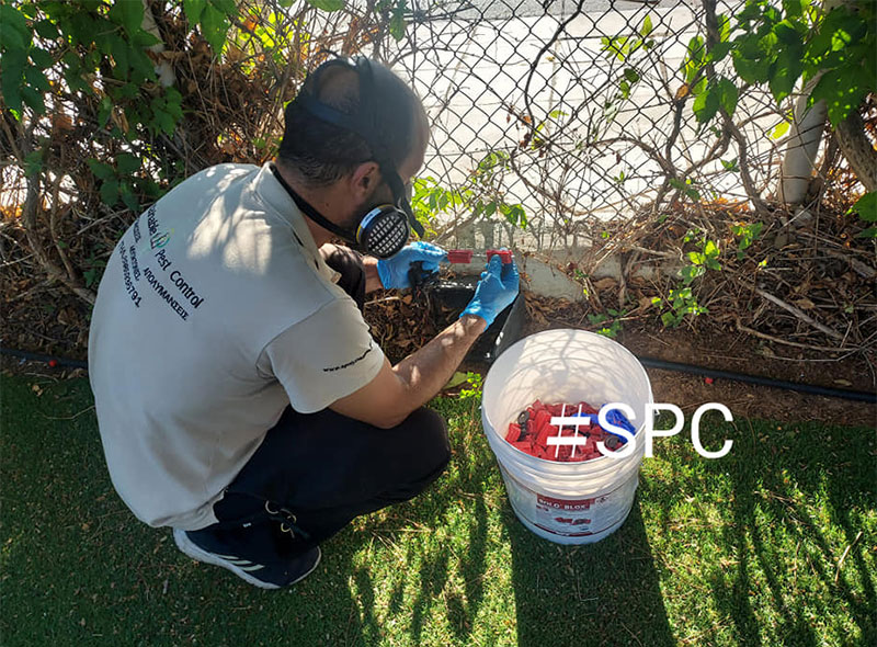 SUSTAINABLE PEST CONTROL - ARGYRI M. AGGELIKI: Φωτογραφίες & Βίντεο