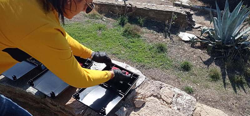 SUSTAINABLE PEST CONTROL - ARGYRI M. AGGELIKI: Φωτογραφίες & Βίντεο