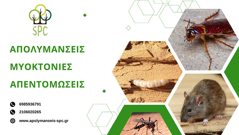 SUSTAINABLE PEST CONTROL - ARGYRI M. AGGELIKI: Φωτογραφίες & Βίντεο