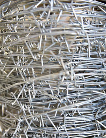 Barbed Wire