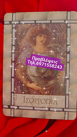 TACHOULA T. ELENI: Φωτογραφίες & Βίντεο