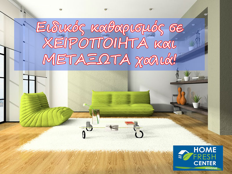 ΤΑΠΗΤΟΚΑΘΑΡΙΣΤΗΡΙΑ ΧΟΧΟΛΗΣ: Φωτογραφίες & Βίντεο