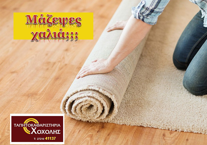 ΤΑΠΗΤΟΚΑΘΑΡΙΣΤΗΡΙΑ ΧΟΧΟΛΗΣ: Φωτογραφίες & Βίντεο