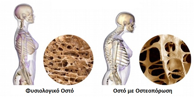 TAPSIS A. KONSTANTINOS: Φωτογραφίες & Βίντεο