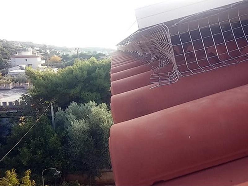 TASIS ENERGEIAKI: Φωτογραφίες & Βίντεο