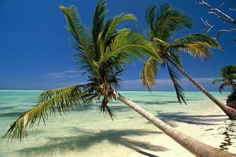 TEMPI HOLIDAYS - KANAKIS: Φωτογραφίες & Βίντεο
