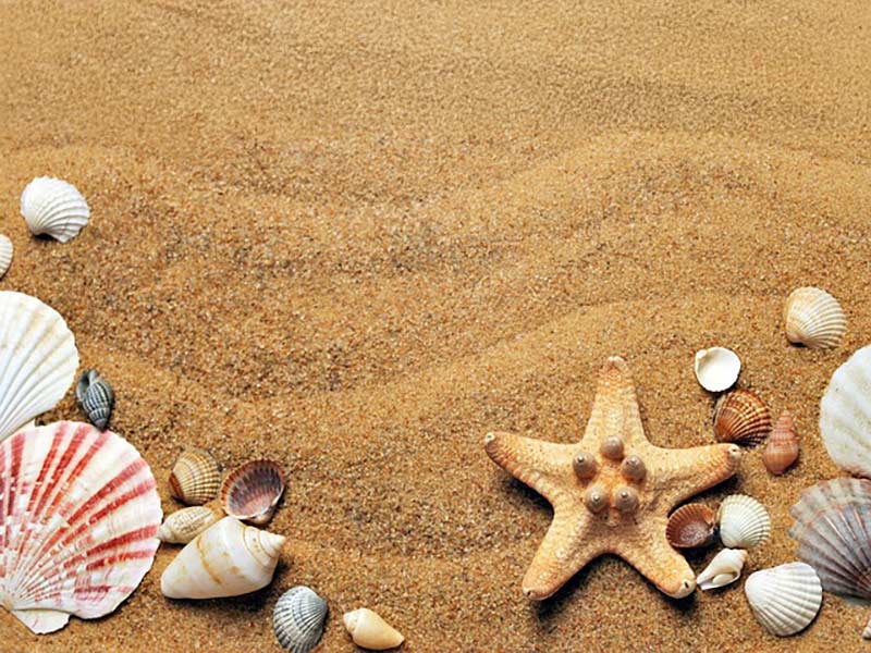 TEMPI HOLIDAYS - KANAKIS: Φωτογραφίες & Βίντεο