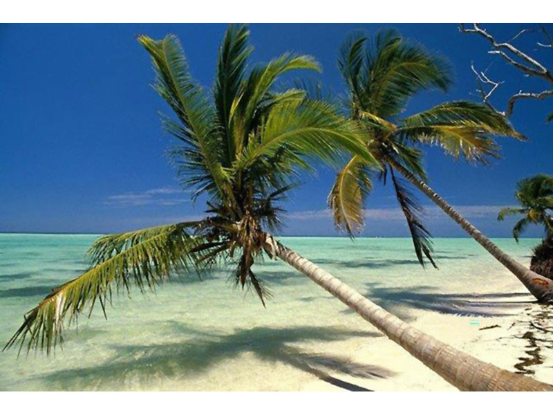 TEMPI HOLIDAYS - KANAKIS: Φωτογραφίες & Βίντεο