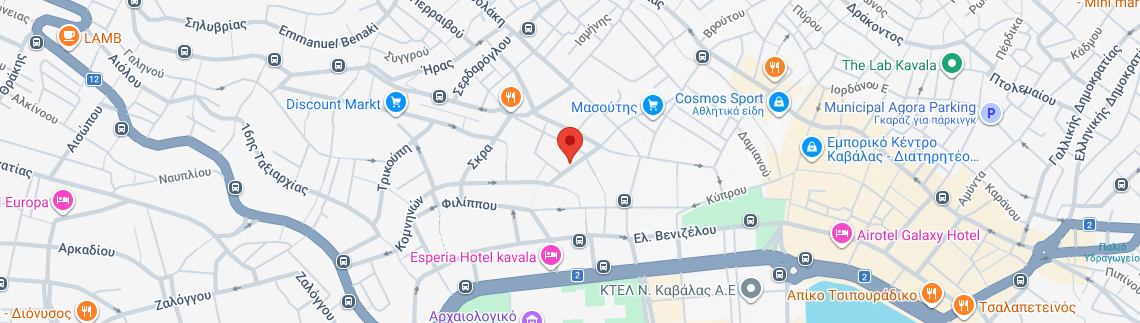 Λογότυπο TERNOVA DASHAMIR