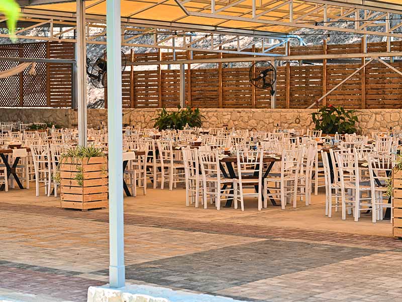THEASIS KTIMA AXIOU: Φωτογραφίες & Βίντεο