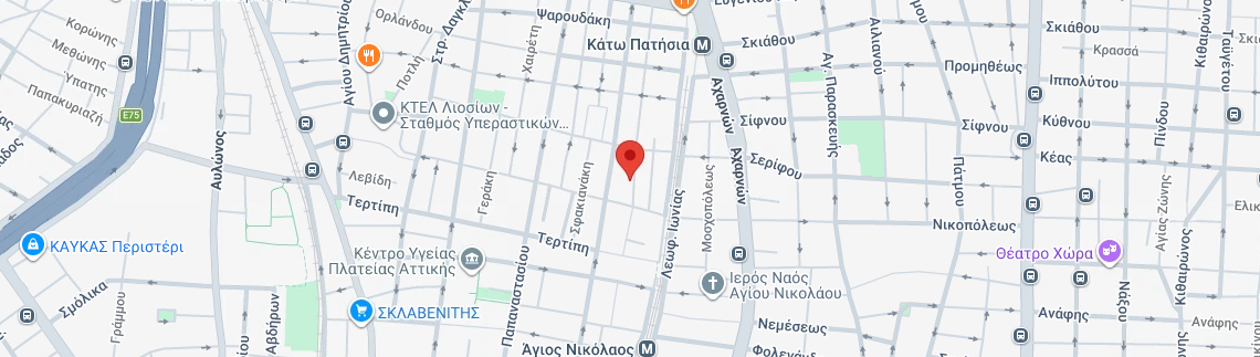 Λογότυπο THEODORIDOU MARIA