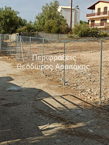 THEODOROS: Φωτογραφίες & Βίντεο