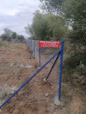 THEODOROS: Φωτογραφίες & Βίντεο