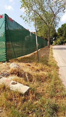 THEODOROS: Φωτογραφίες & Βίντεο