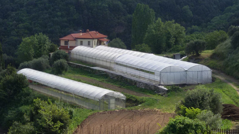 Επαγγελματικό Θερμοκήπιο (12x50) στο Άγιον Όρος