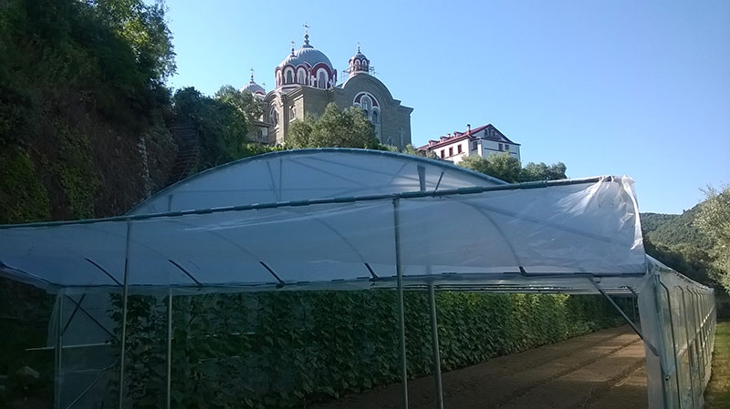 Επαγγελματικό Θερμοκήπιο (8x50) στο Άγιον Όρος