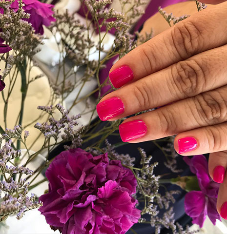 THE BEAUTY MIX: Φωτογραφίες & Βίντεο