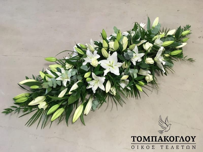 TOMPAKOGLOU: Φωτογραφίες & Βίντεο