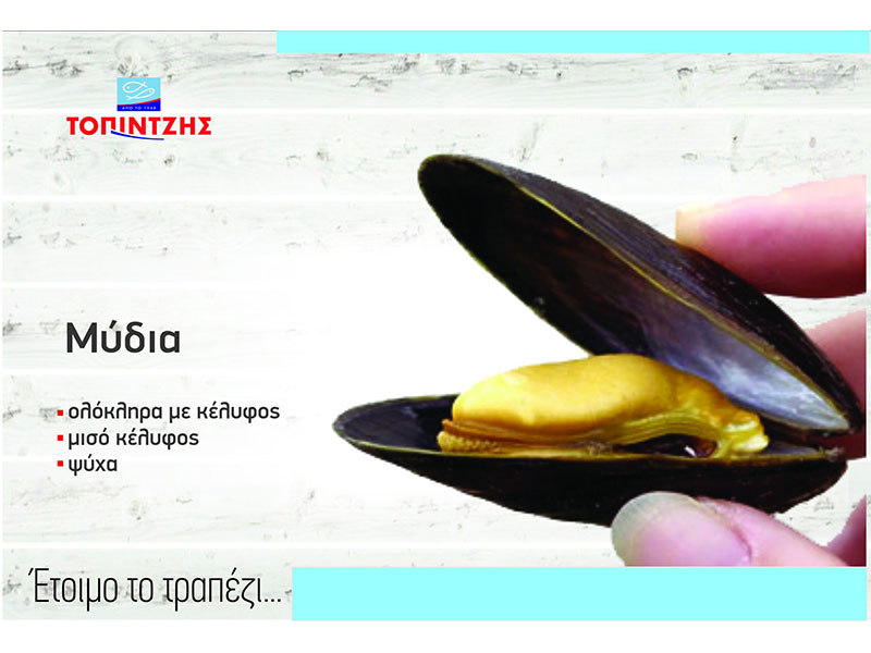 TOPINTZIS: Φωτογραφίες & Βίντεο