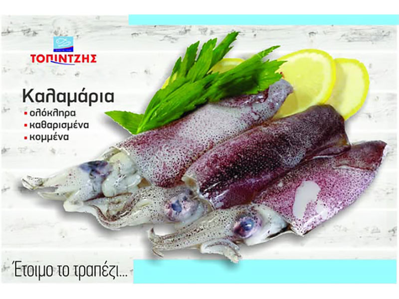 TOPINTZIS: Φωτογραφίες & Βίντεο