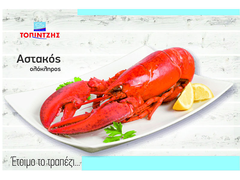 TOPINTZIS: Φωτογραφίες & Βίντεο