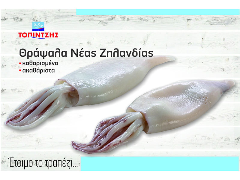 TOPINTZIS: Φωτογραφίες & Βίντεο