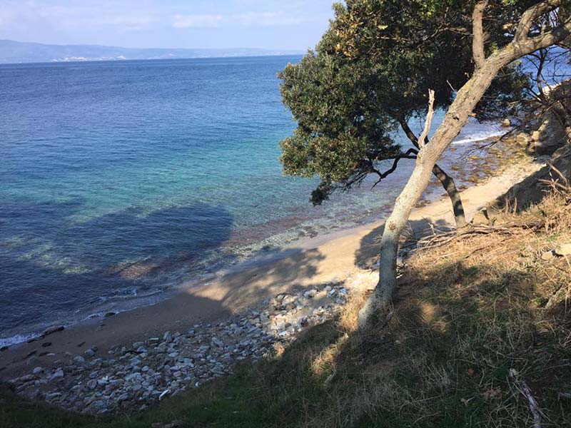 TOPOTHESS - GEORNTAMILIS NIKOLAOS: Φωτογραφίες & Βίντεο