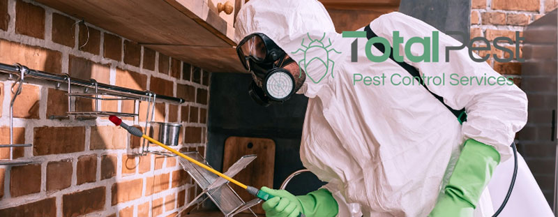 TOTALPEST: Φωτογραφίες & Βίντεο