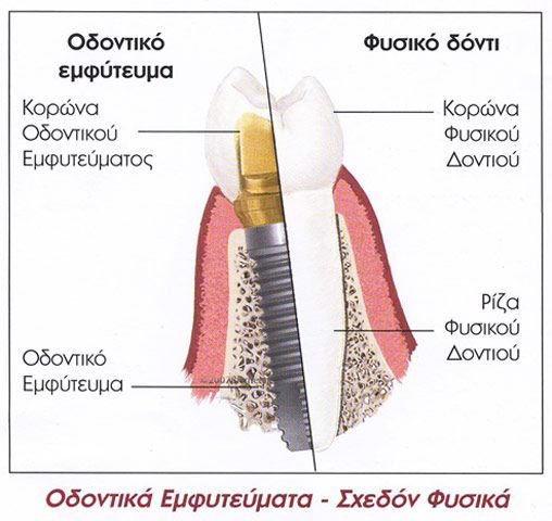 TOURVALI - POLYCHRONAKI MYRNA: Φωτογραφίες & Βίντεο