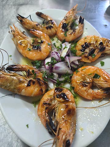 TO PACHNI: Φωτογραφίες & Βίντεο