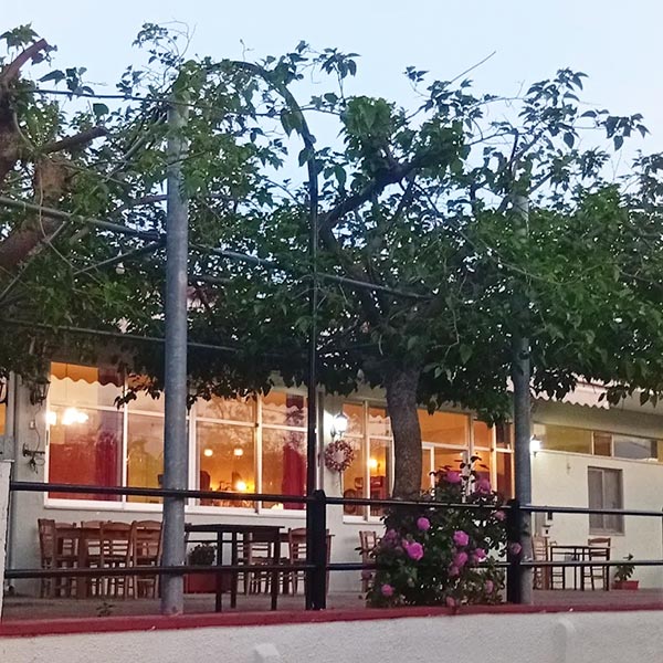 TO PACHNI: Φωτογραφίες & Βίντεο