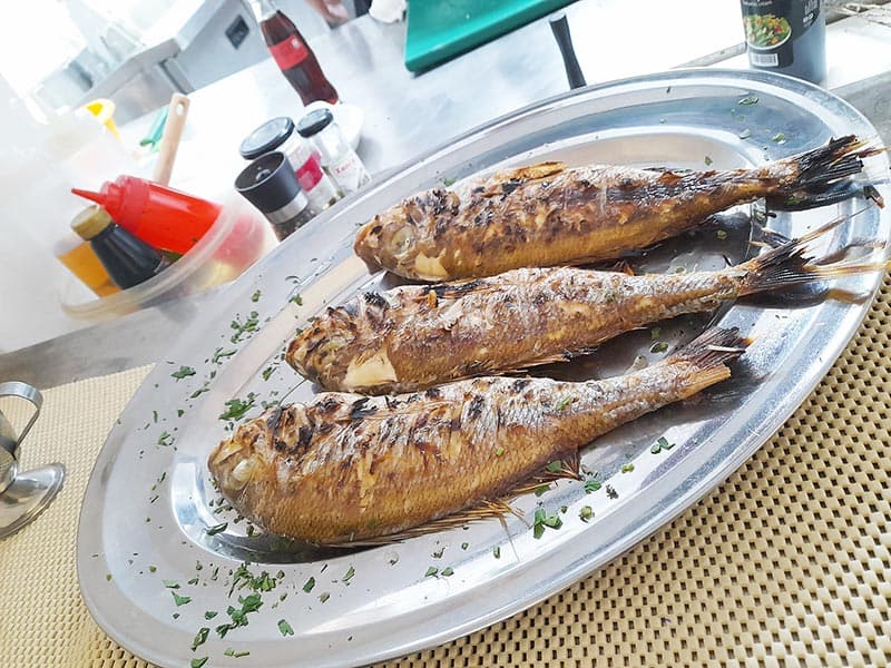 ΤΟ ΨΑΡΑΔΕΙΣΙ: Φωτογραφίες & Βίντεο