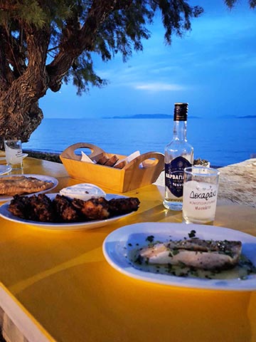 ΤΟ ΨΑΡΑΔΕΙΣΙ: Φωτογραφίες & Βίντεο