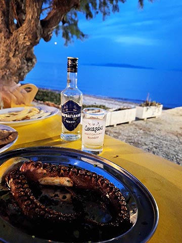 ΤΟ ΨΑΡΑΔΕΙΣΙ: Φωτογραφίες & Βίντεο