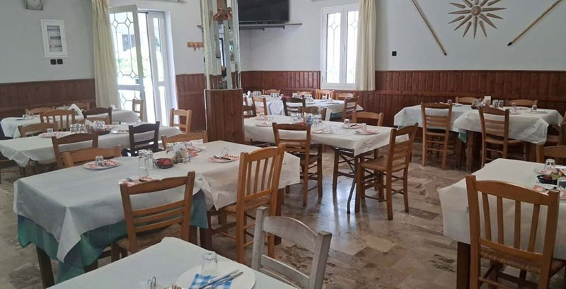 ΤΟ ΣΤΕΚΙ ΤΟΥ ΚΑΤΣΑ: Φωτογραφίες & Βίντεο
