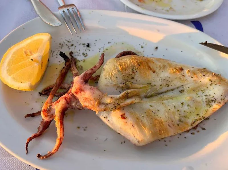 ΤΟ ΘΑΛΑΣΣΑΚΙ: Φωτογραφίες & Βίντεο