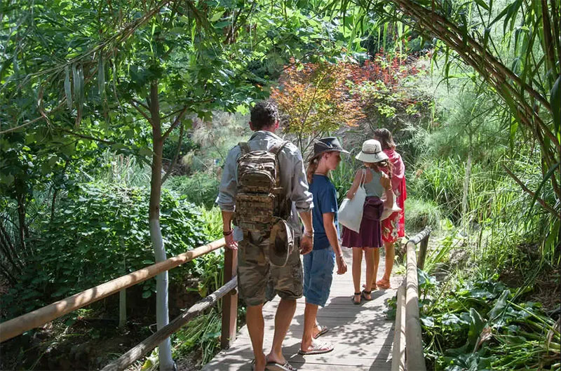 Botanical Garden - Xyloskalo (Omalos)